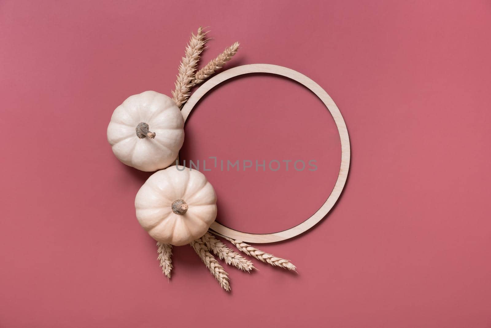 Decorative pumpkins and wooden frame for text, autumn themed blank top view, flat lay.