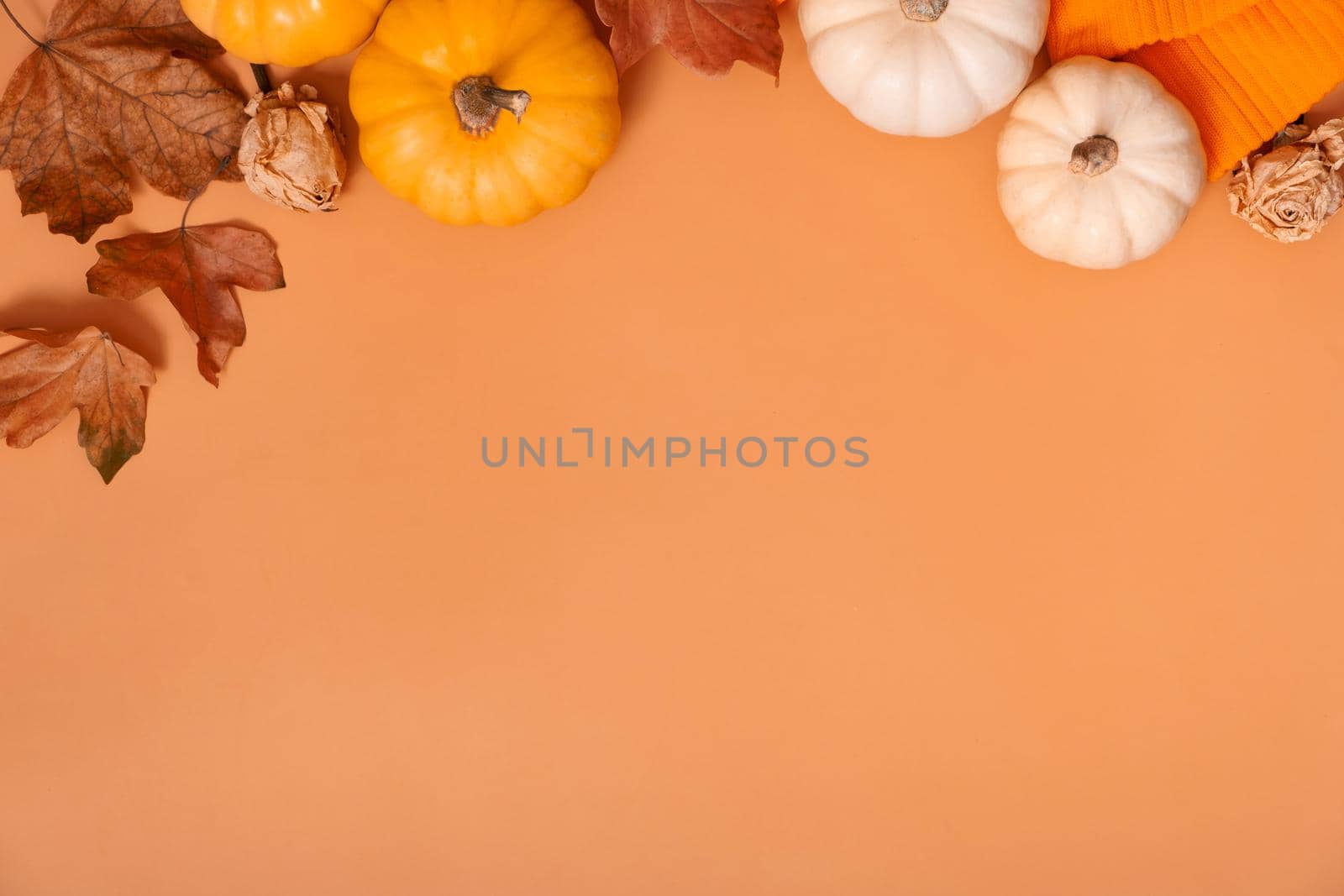 Autumn flat lay composition with pumpkins and fallen leaves and sweater with space for text by ssvimaliss