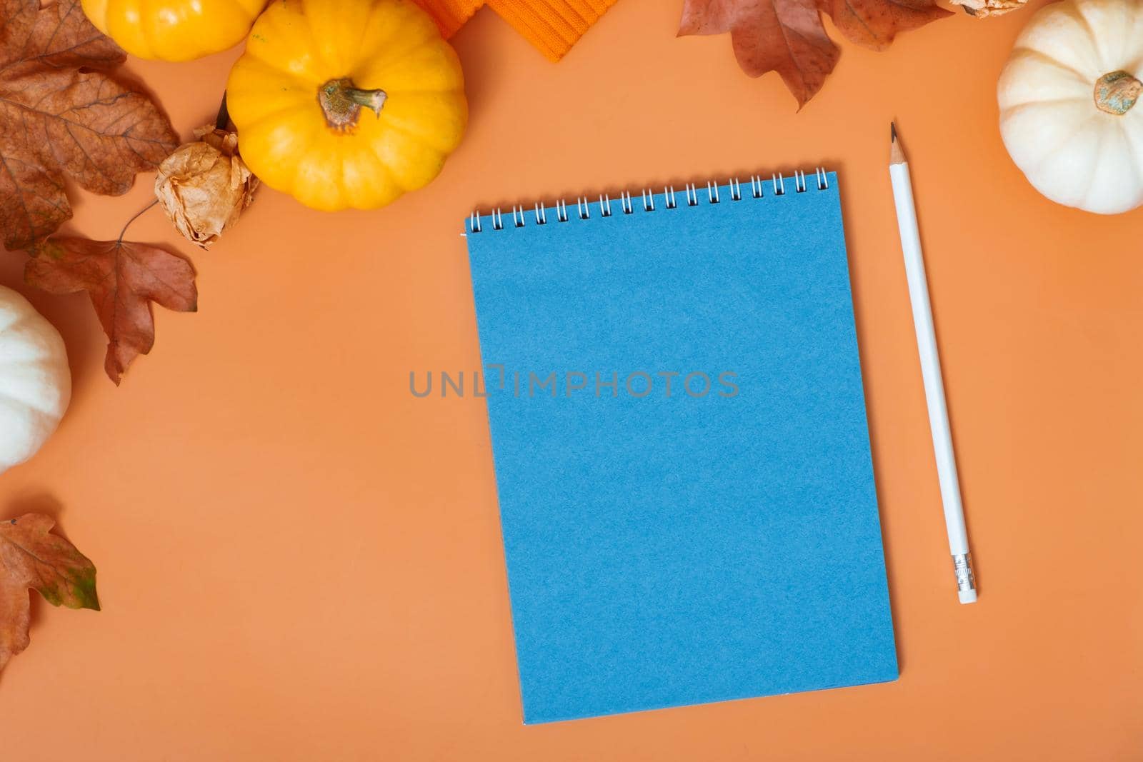 Blank notebook for text next to pumpkins and autumn leaves. Autumn theme mockup.