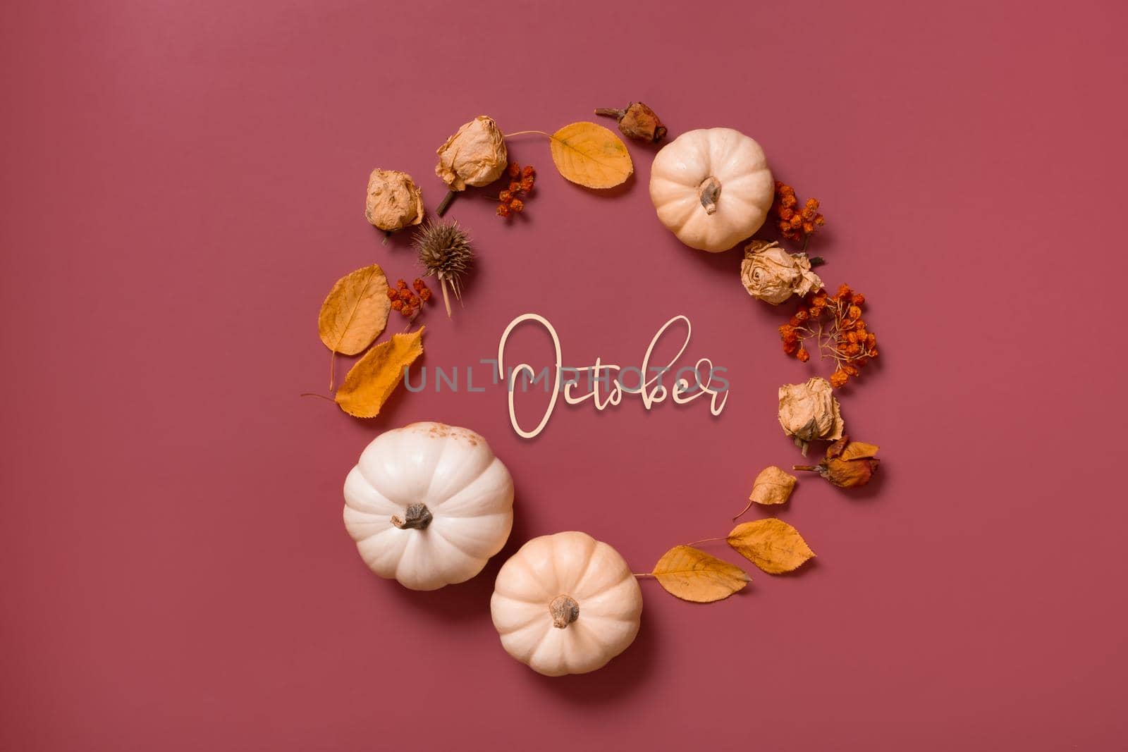 October text and autumn flat lay wreath of pumpkin, leaves and flowers with berries top view.