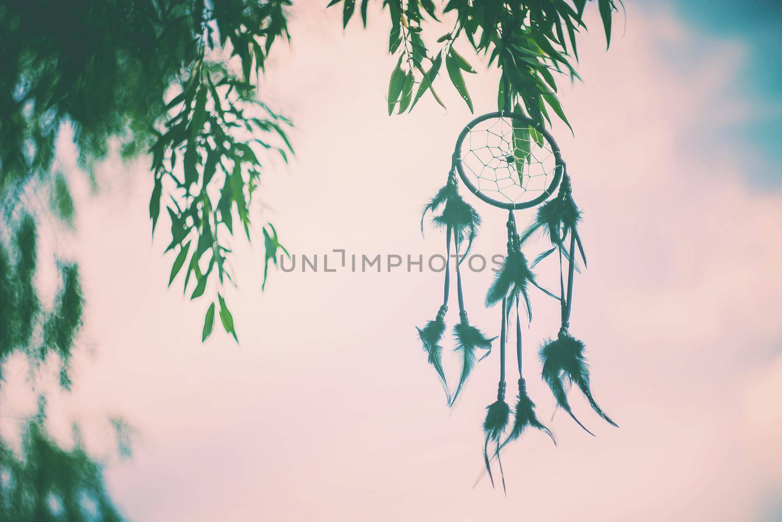 Dream catcher in a vintage style. Selective focus. nature.