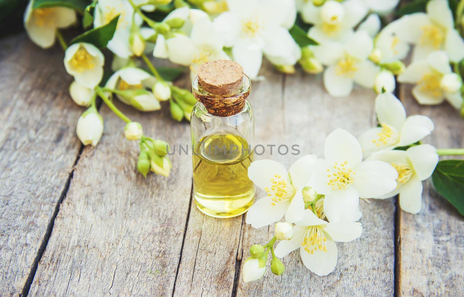 Jasmine essential oil. selective focus. madicine and nature.