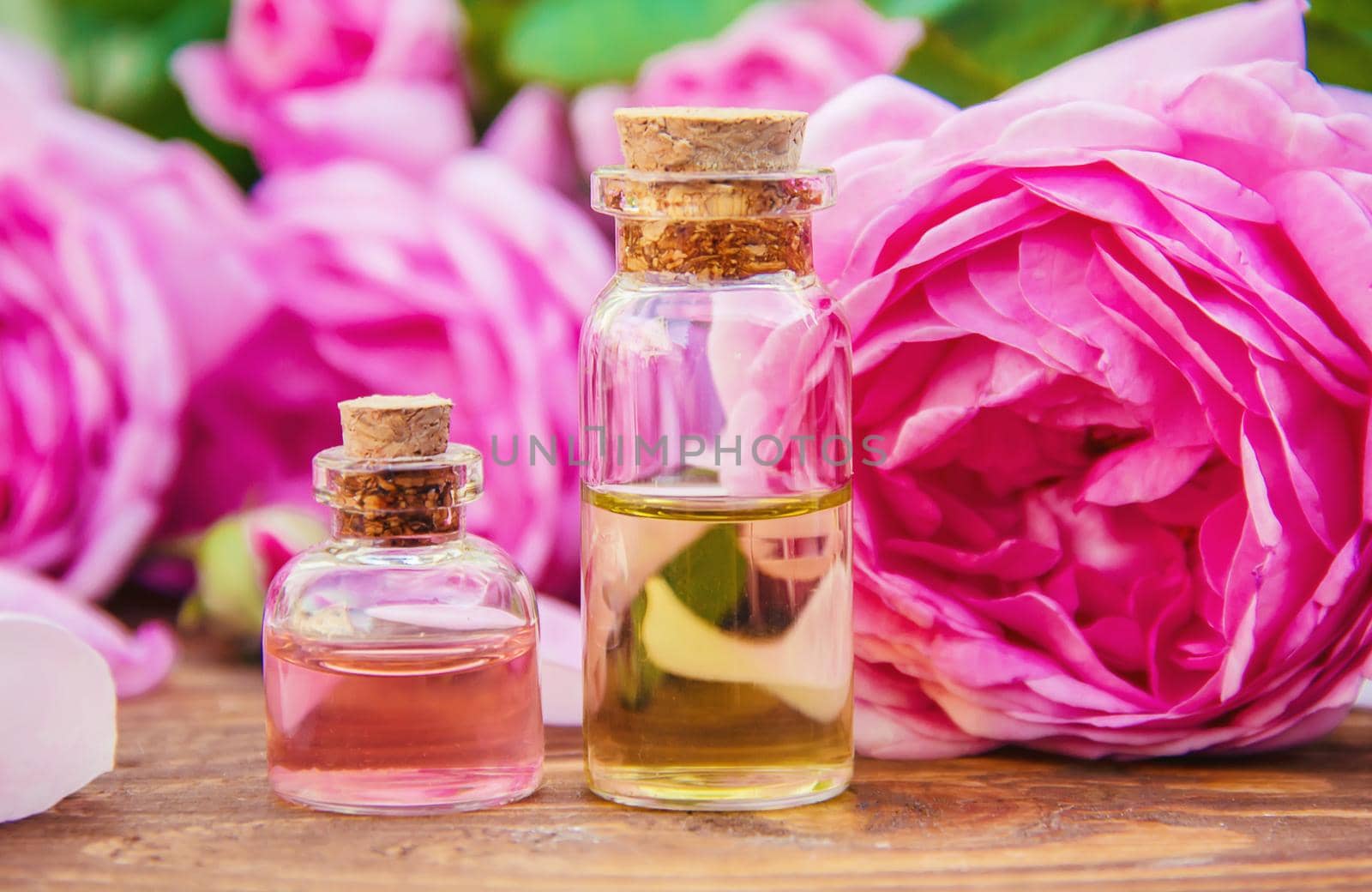 Essential oil of rose on a light background. Selective focus.