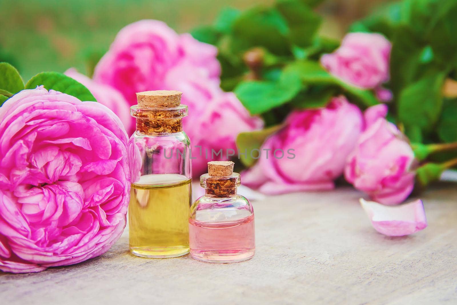 Essential oil of rose on a light background. Selective focus.