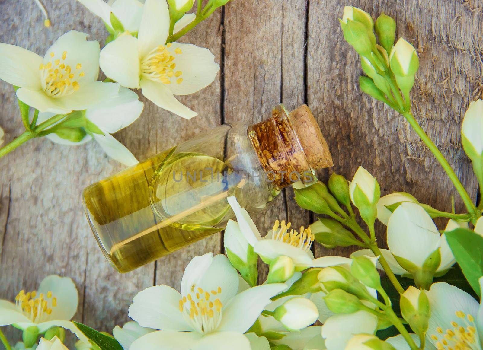 Jasmine essential oil. selective focus. madicine and nature.