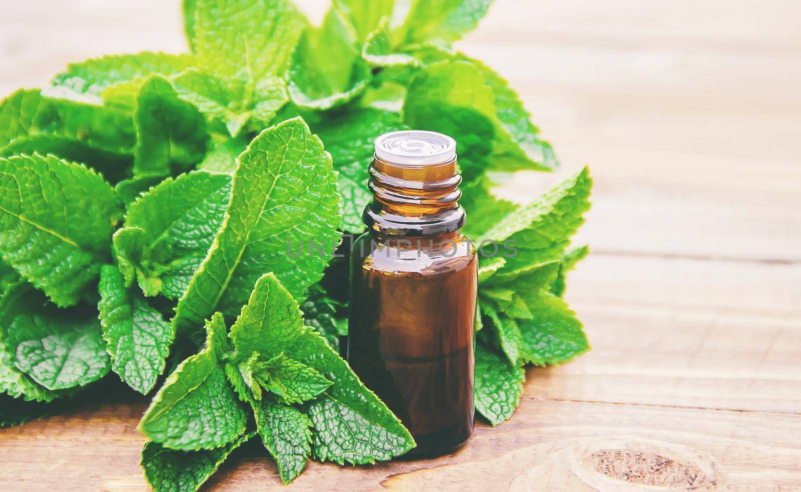 The mint extract in a small jar. Selective focus. nature.