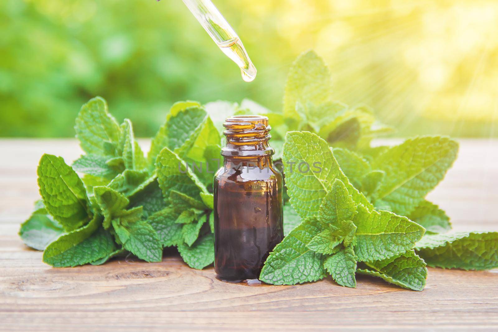 The mint extract in a small jar. Selective focus. nature.