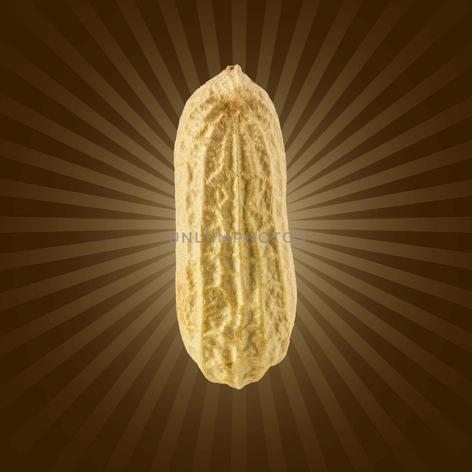 Peanuts on brown gradient background. Closeup peanut. used for design element, packaging design