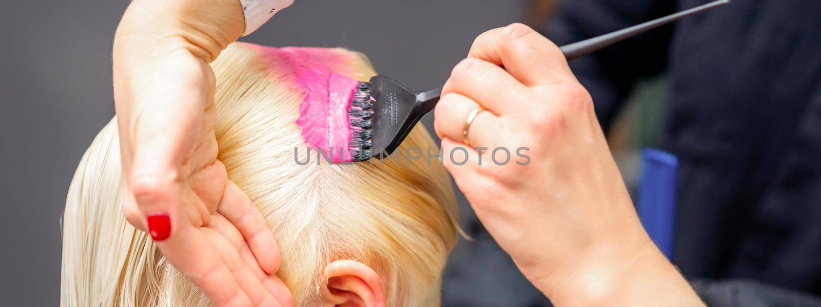 Applying pink dye with the brush on the white hair of a young blonde woman in a hairdresser salon. by okskukuruza