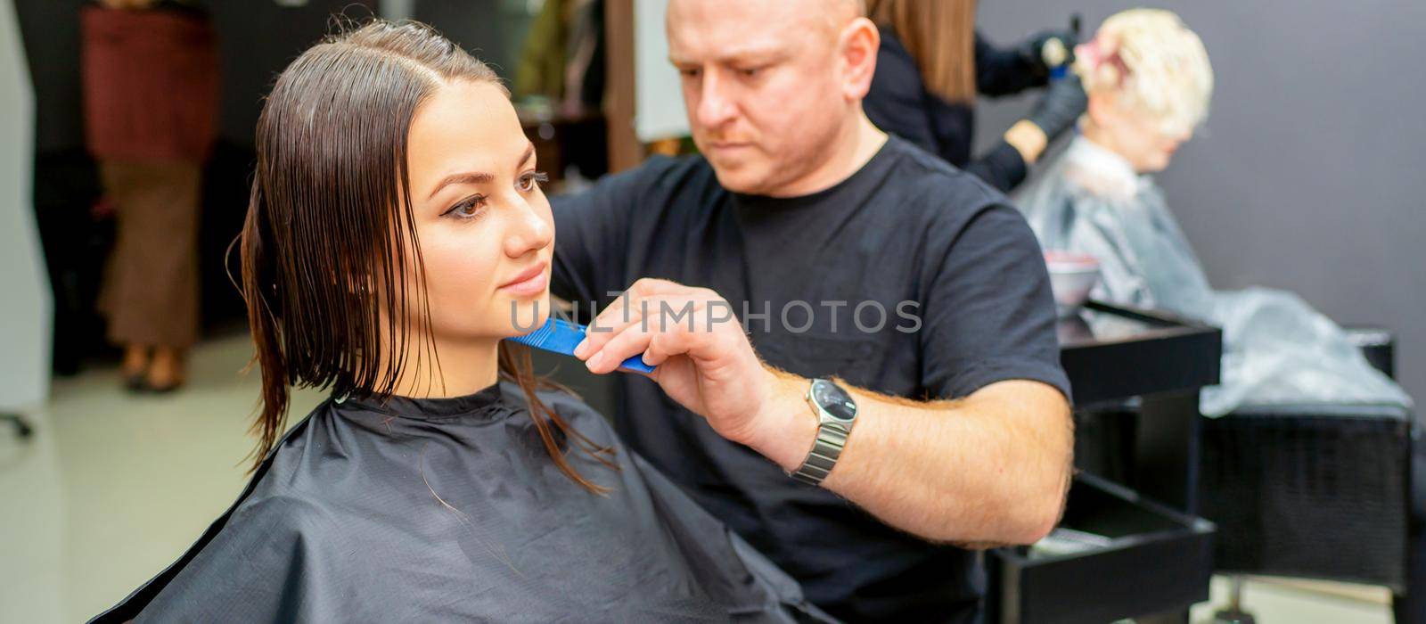 Haircut of long wet hair of young caucasian woman by a male hairdresser in a hair salon. by okskukuruza