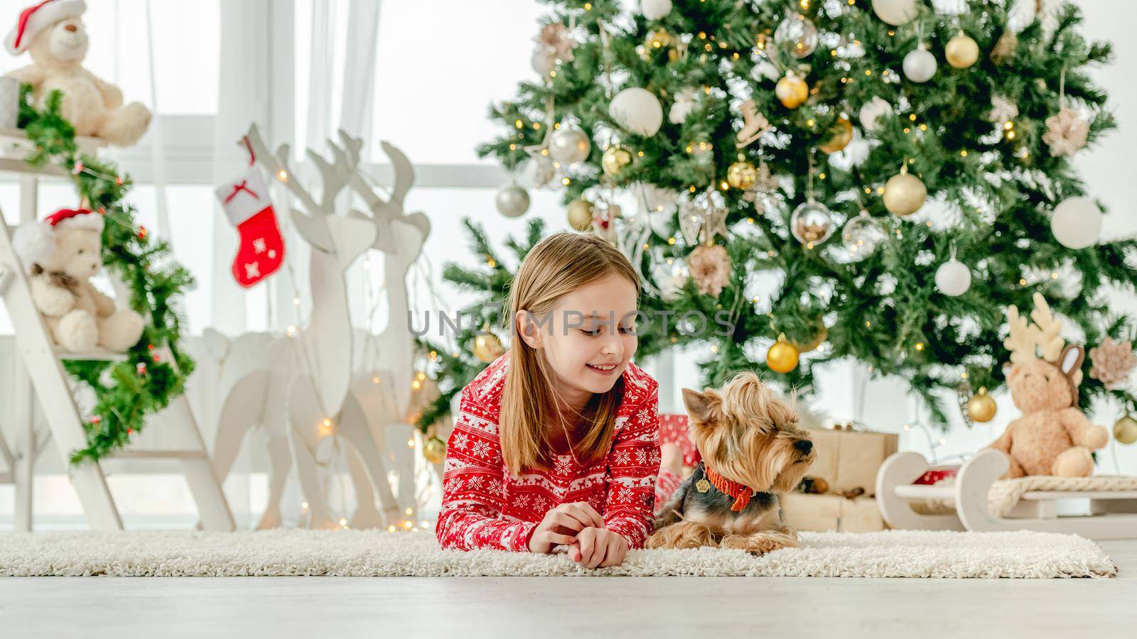 Child girl with dog lying on floor with Christmas tree on background. Kid celebrating New Year and smiling with doggy pet next to her