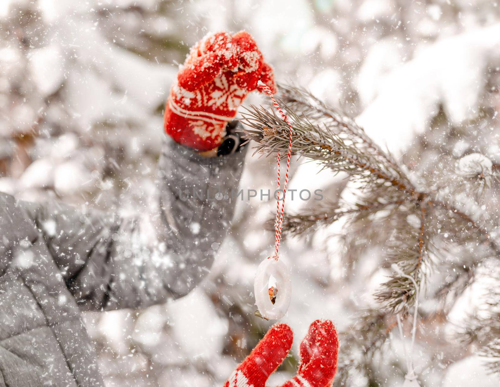 Person girl hands wearing red knitted gloves decorates tree with Christmas festive toy in winter snow forest outdoors