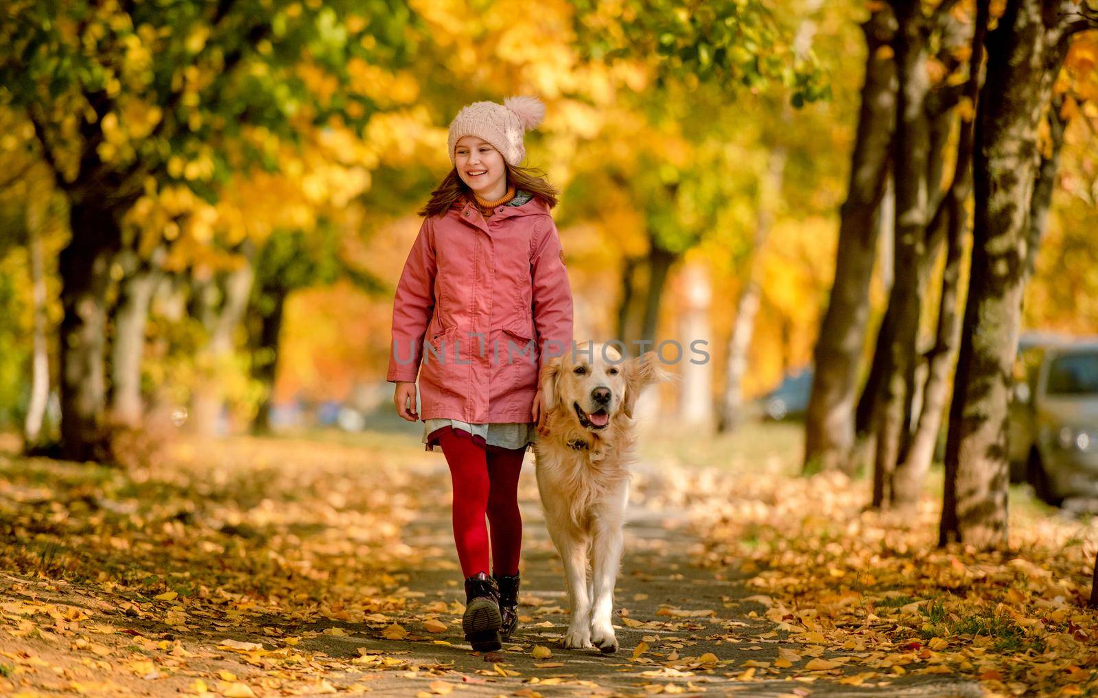 Preteen girl kid with golden retriever dog walking at autumn park with yellow leaves. Beautiful portrait of child and pet doggy outdoors at nature