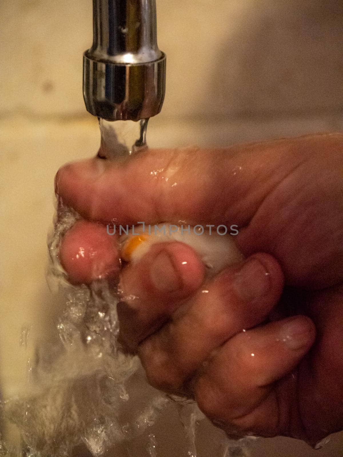 cleaning a raw adriatic cuttlefish at home in Numana, Marche, Italy