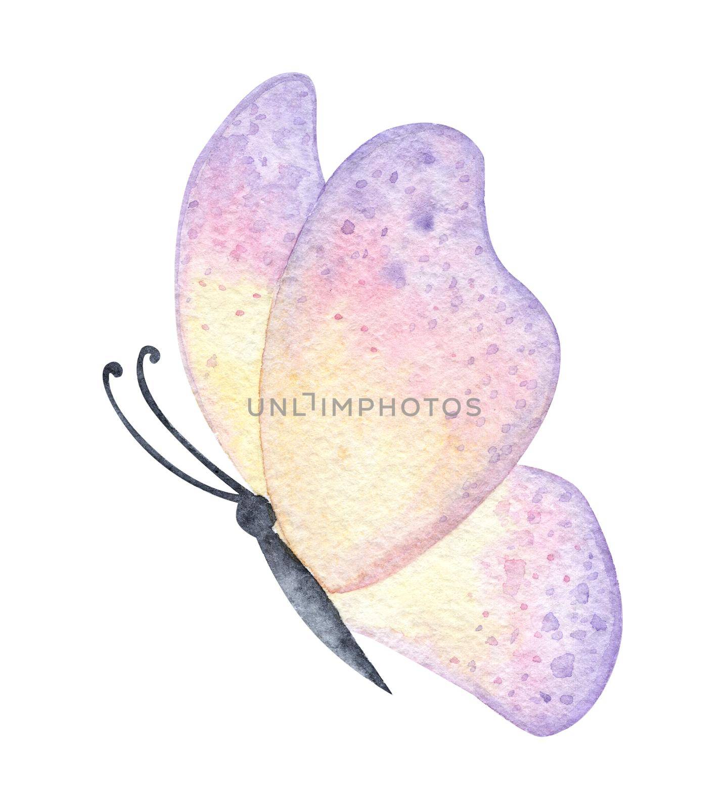 Watercolor pink pastel butterfly isolated on white by dreamloud