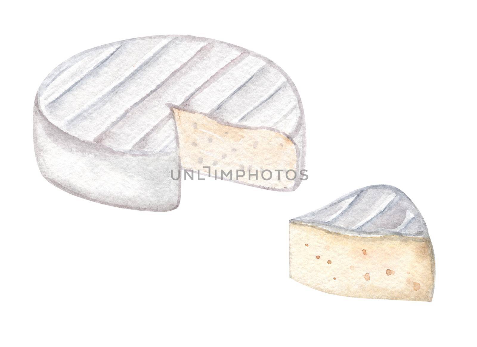 Watercolor camembert cheese pieces set isolated on white. Hand drawn brie illustration by dreamloud