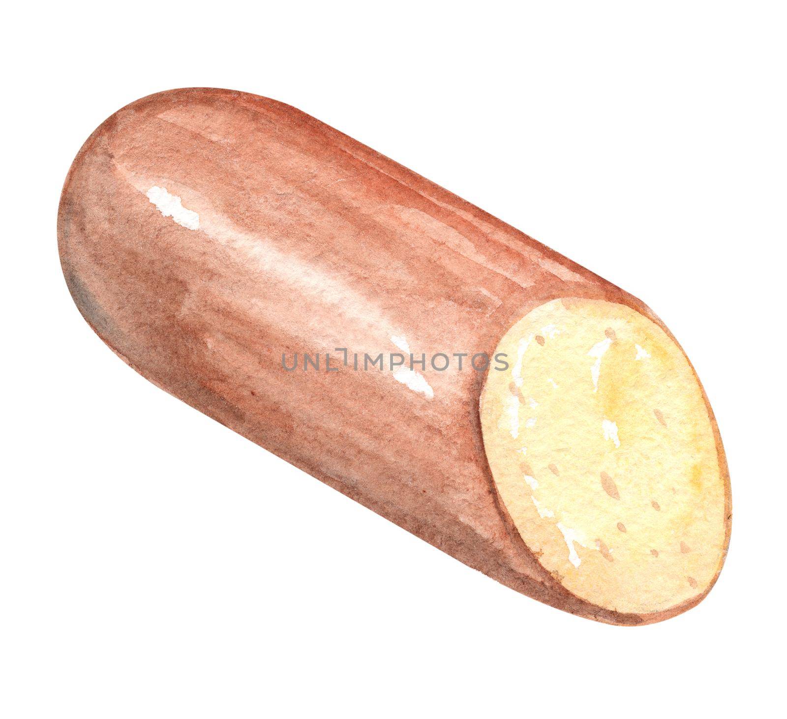 Watercolor sausage cheese isolated on white by dreamloud