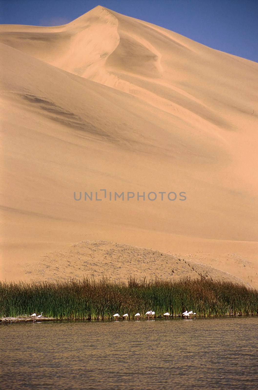 view of sandwich harbour, Namibia, Africa