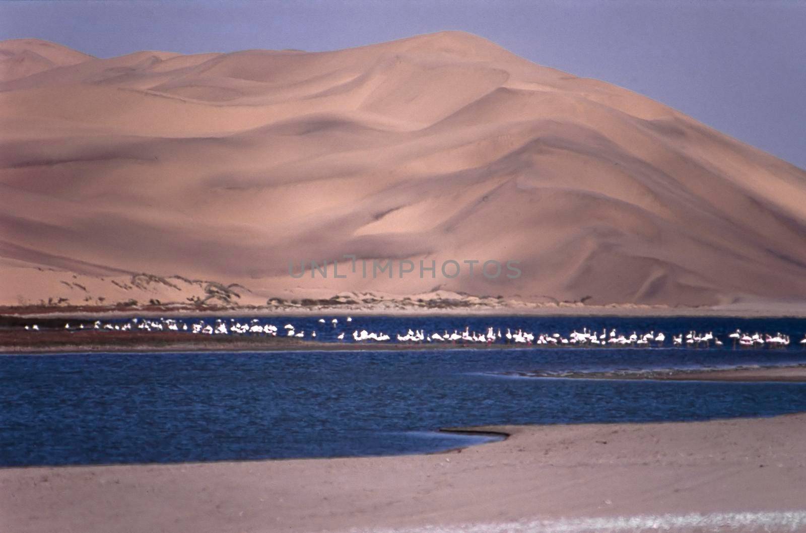 view of sandwich harbour, Namibia, Africa