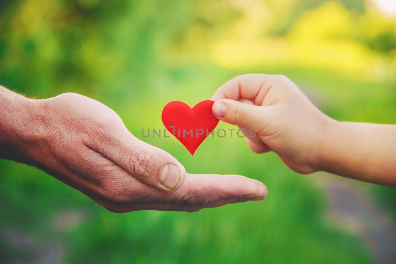 child and father have a heart in their hands. Selective focus. by yanadjana