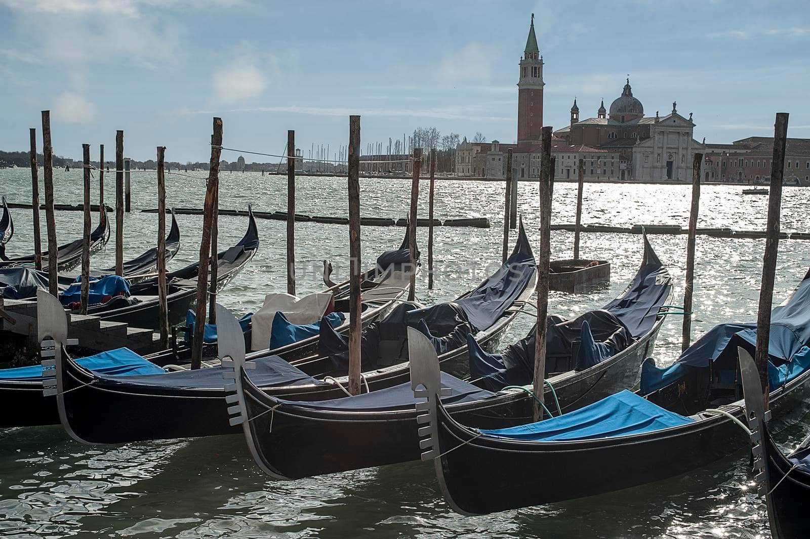 Gondolas moored at Piazza San Marco in Venice