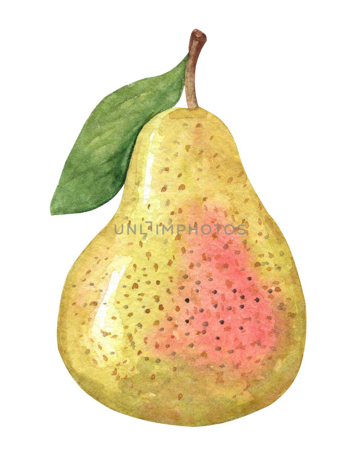 Watercolor green pear isolated on white background. Hand drawn fruit illustration