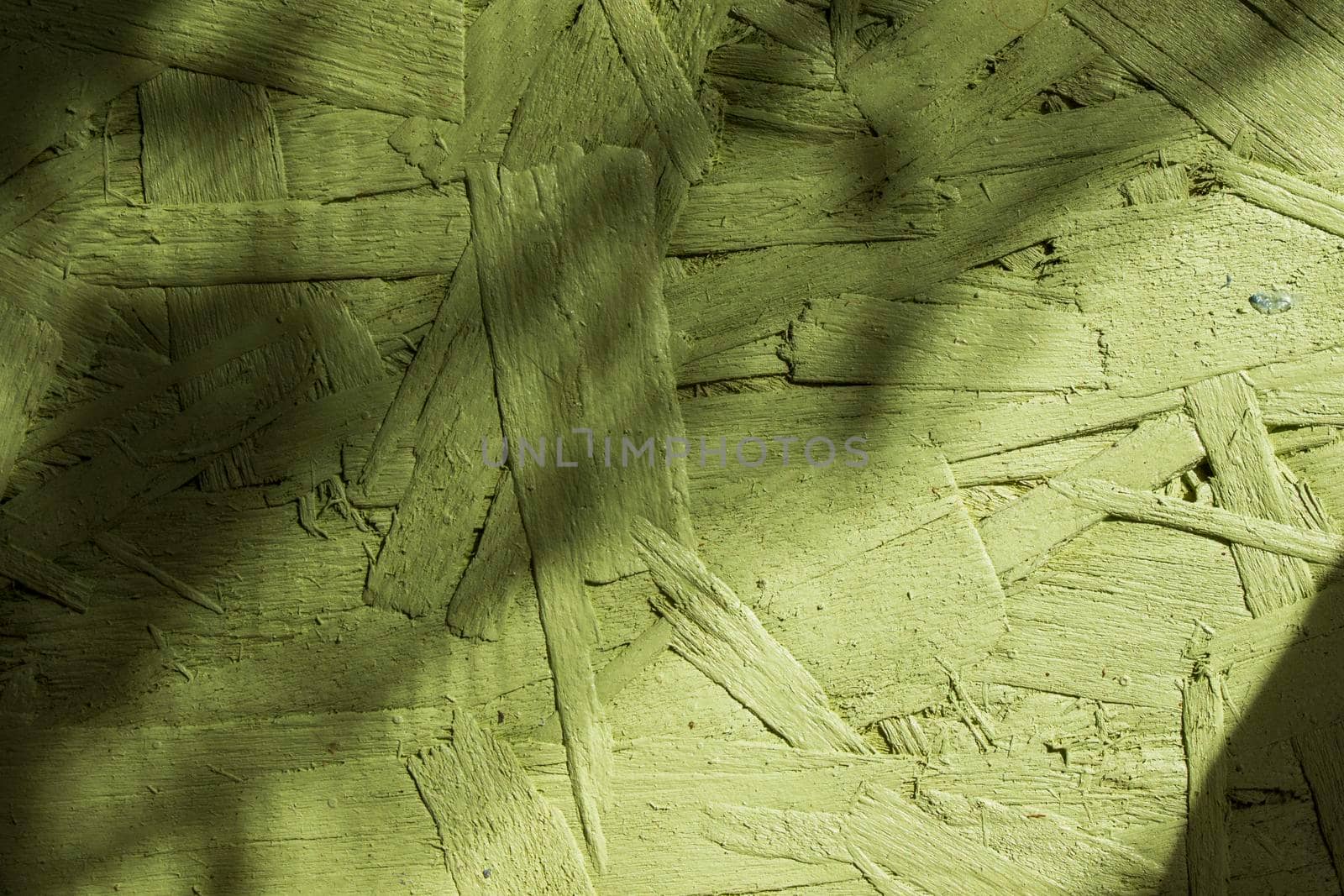 Green painted wood texture and background, sunlight and shadows