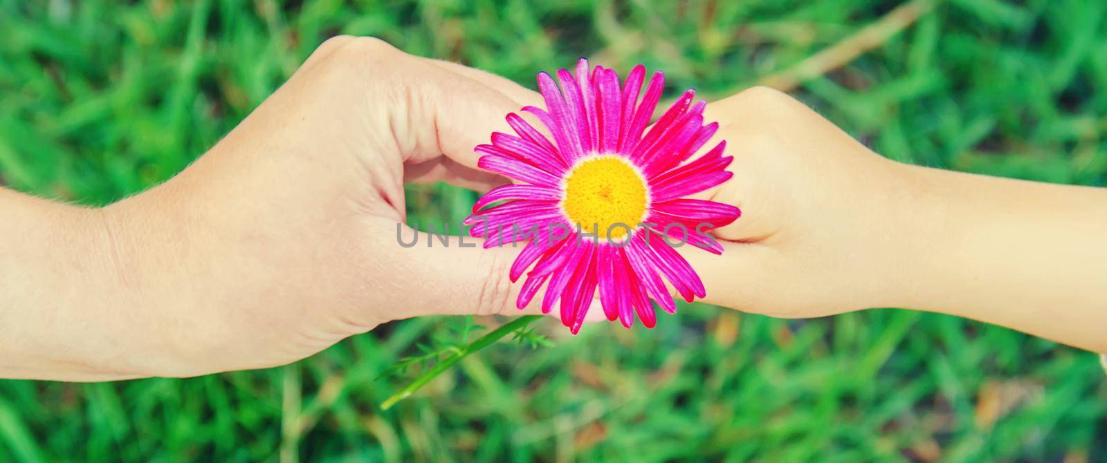 The child gives the flower to his mother. Selective focus.