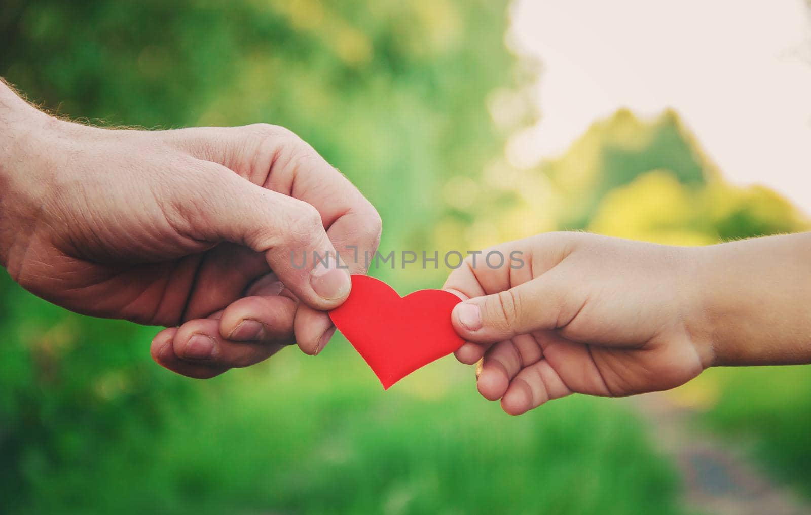 child and father have a heart in their hands. Selective focus.