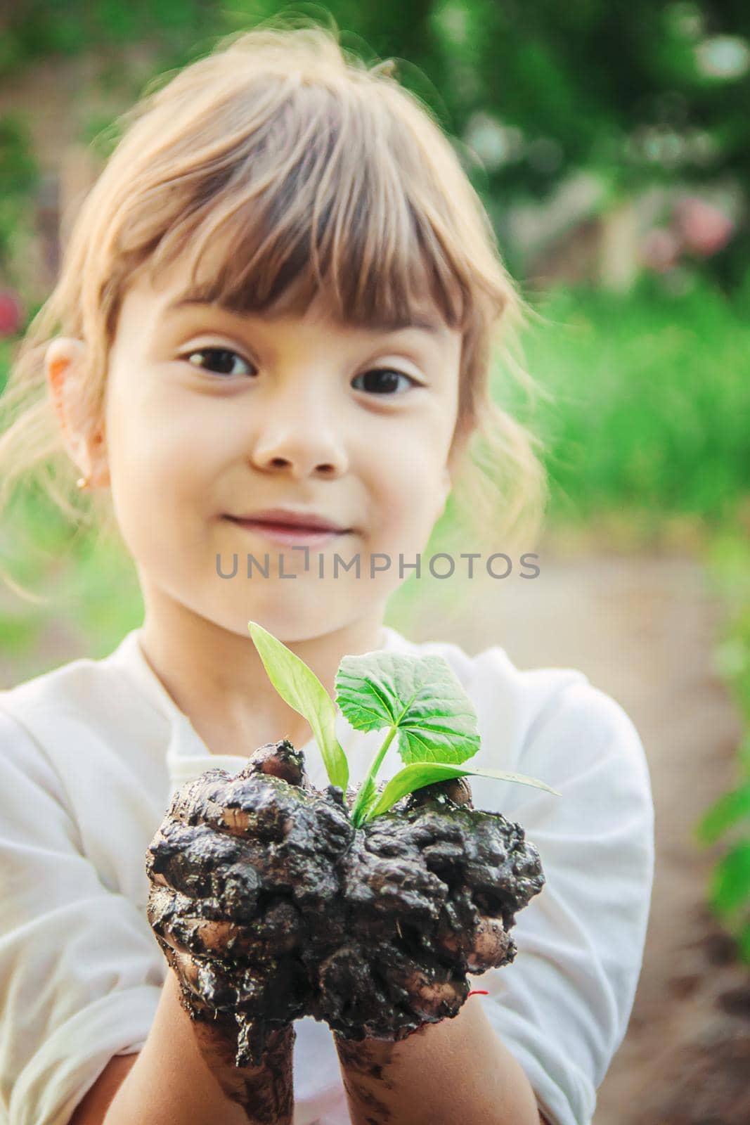 A child plants a plant in the garden. Selective focus. by yanadjana