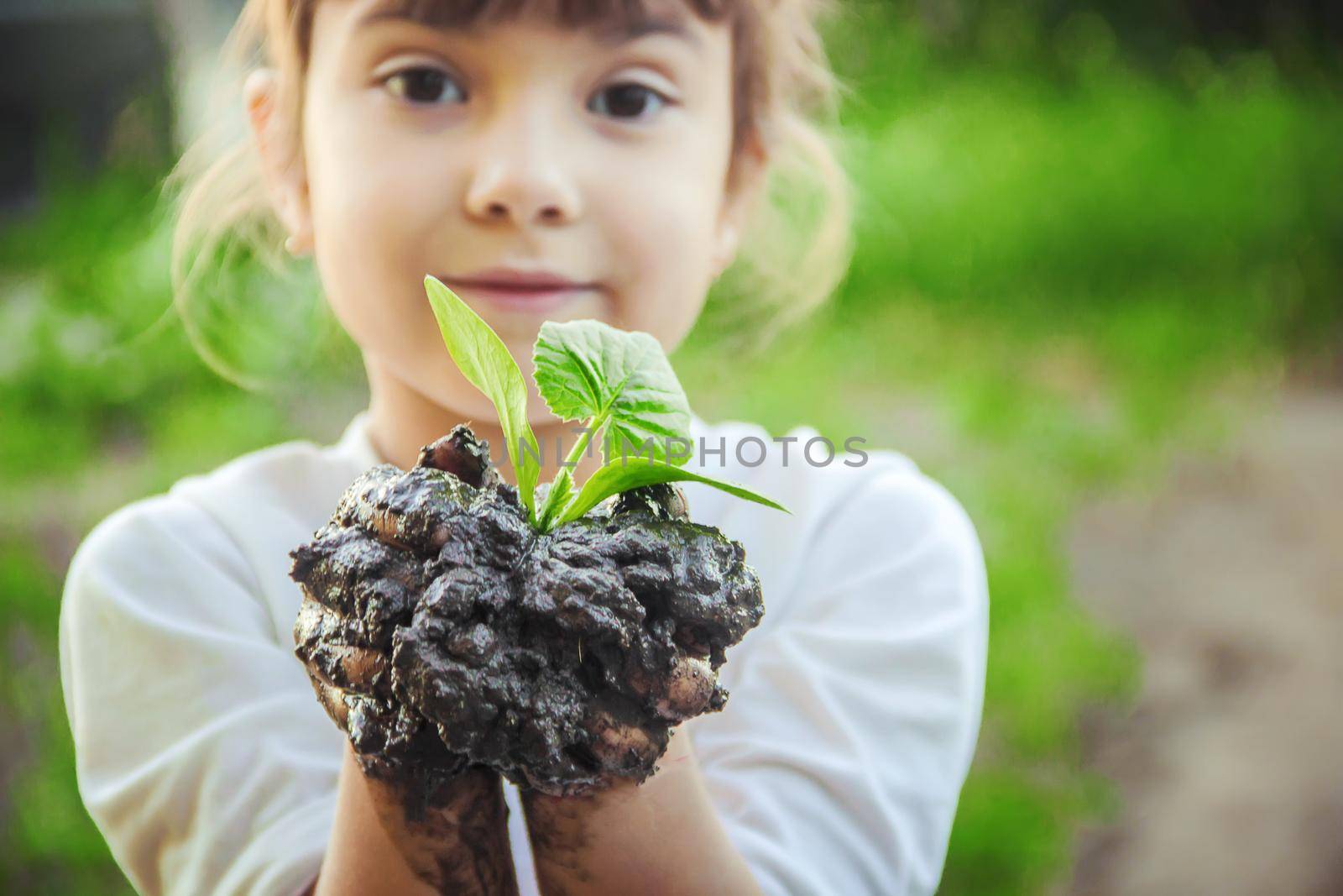 A child plants a plant in the garden. Selective focus.