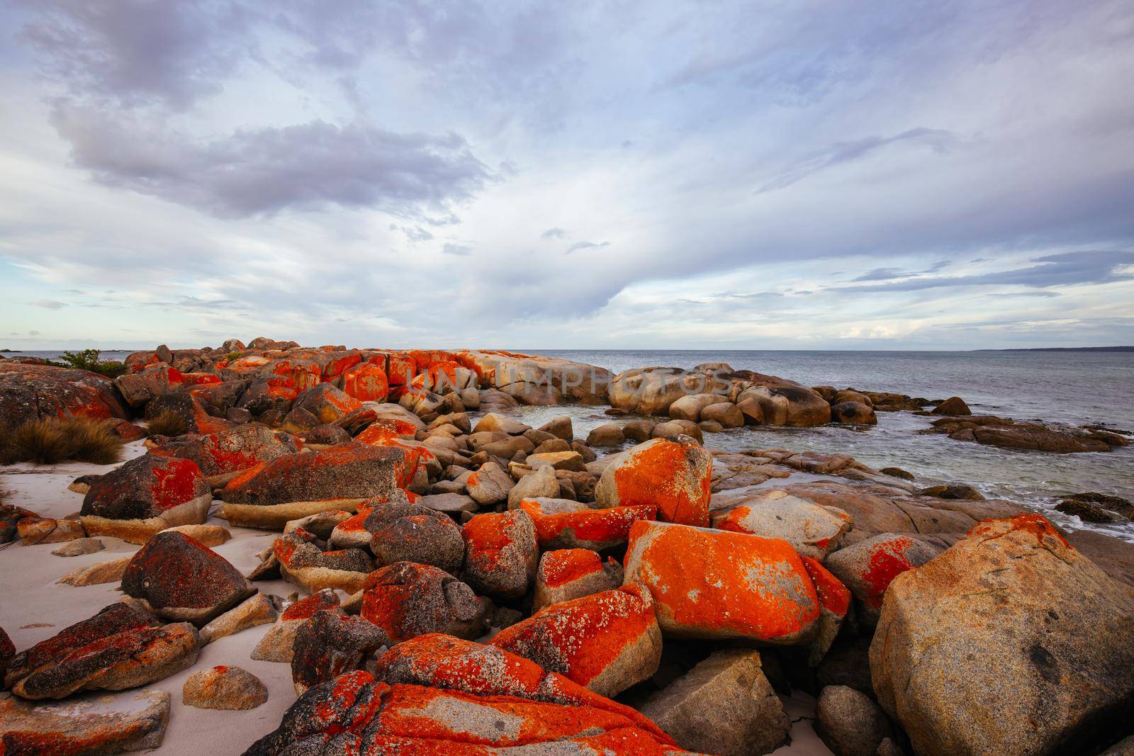 The lichen covered rocks at sunset in the Bay of Fires at Binalong Bay, Australia