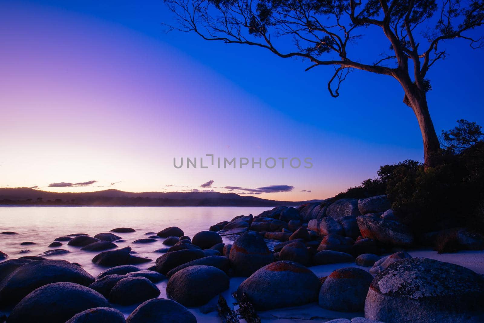 The lichen covered rocks at sunset in the Bay of Fires at Binalong Bay, Australia