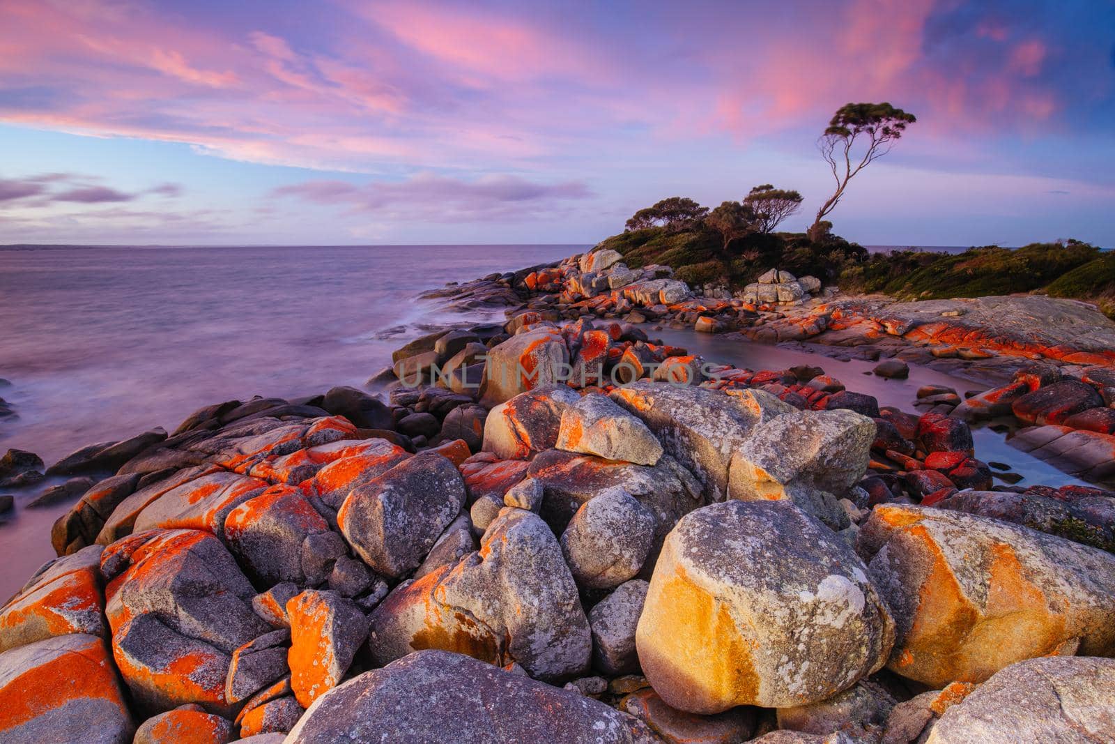 The lichen covered rocks at sunset in the Bay of Fires at Binalong Bay, Australia