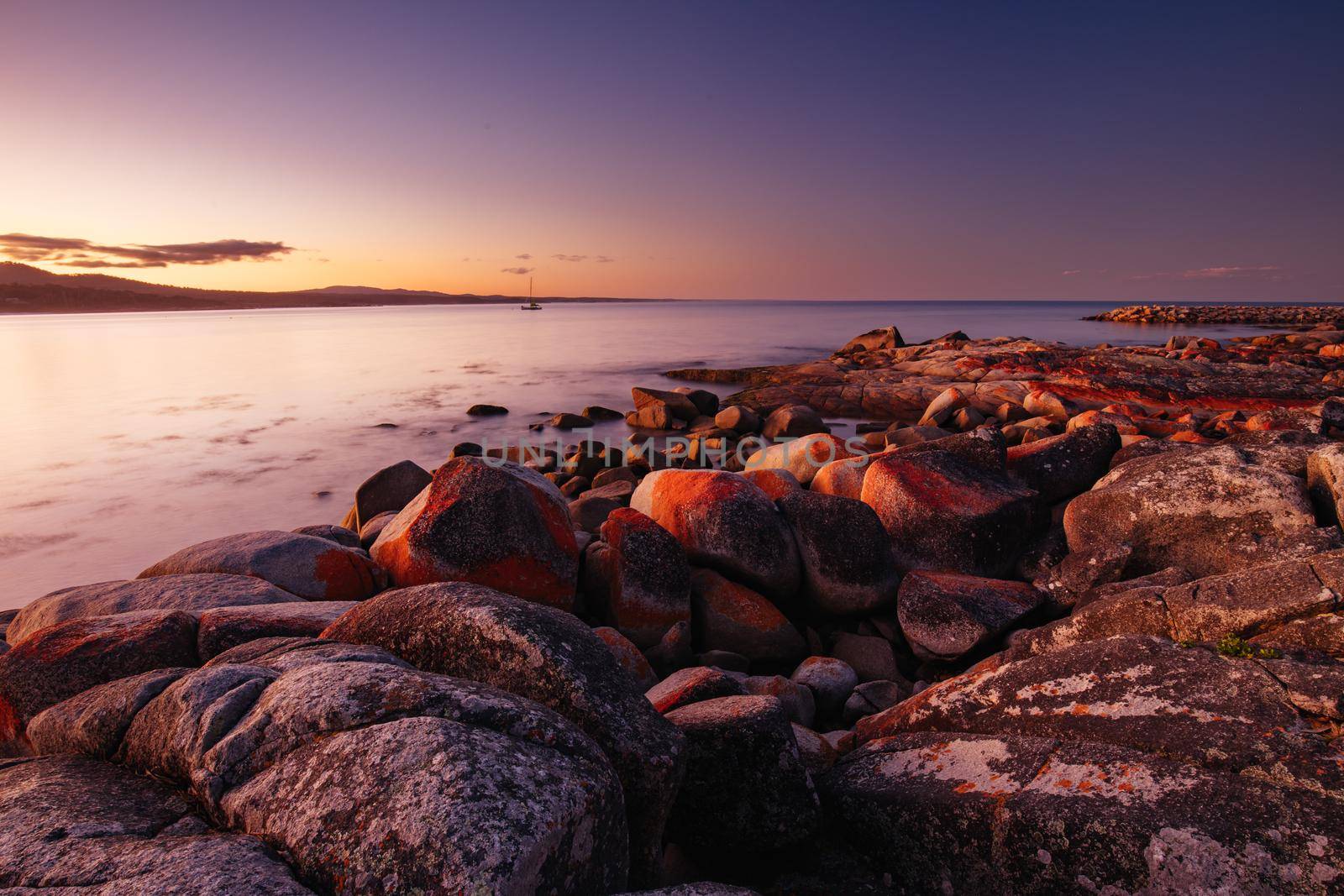 The lichen covered rocks at sunset in the Bay of Fires at Binalong Bay, Australia