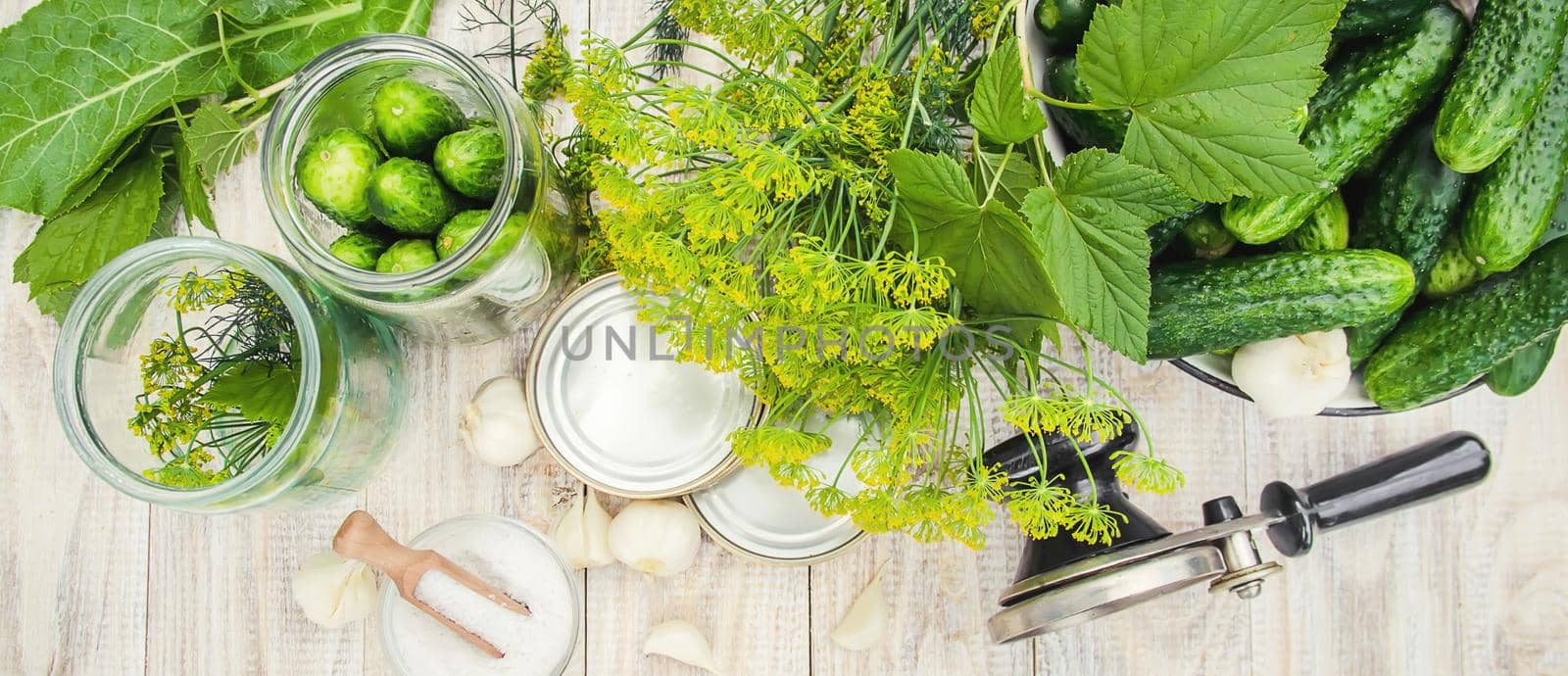 preservation of fresh house cucumbers. Selective focus. by yanadjana