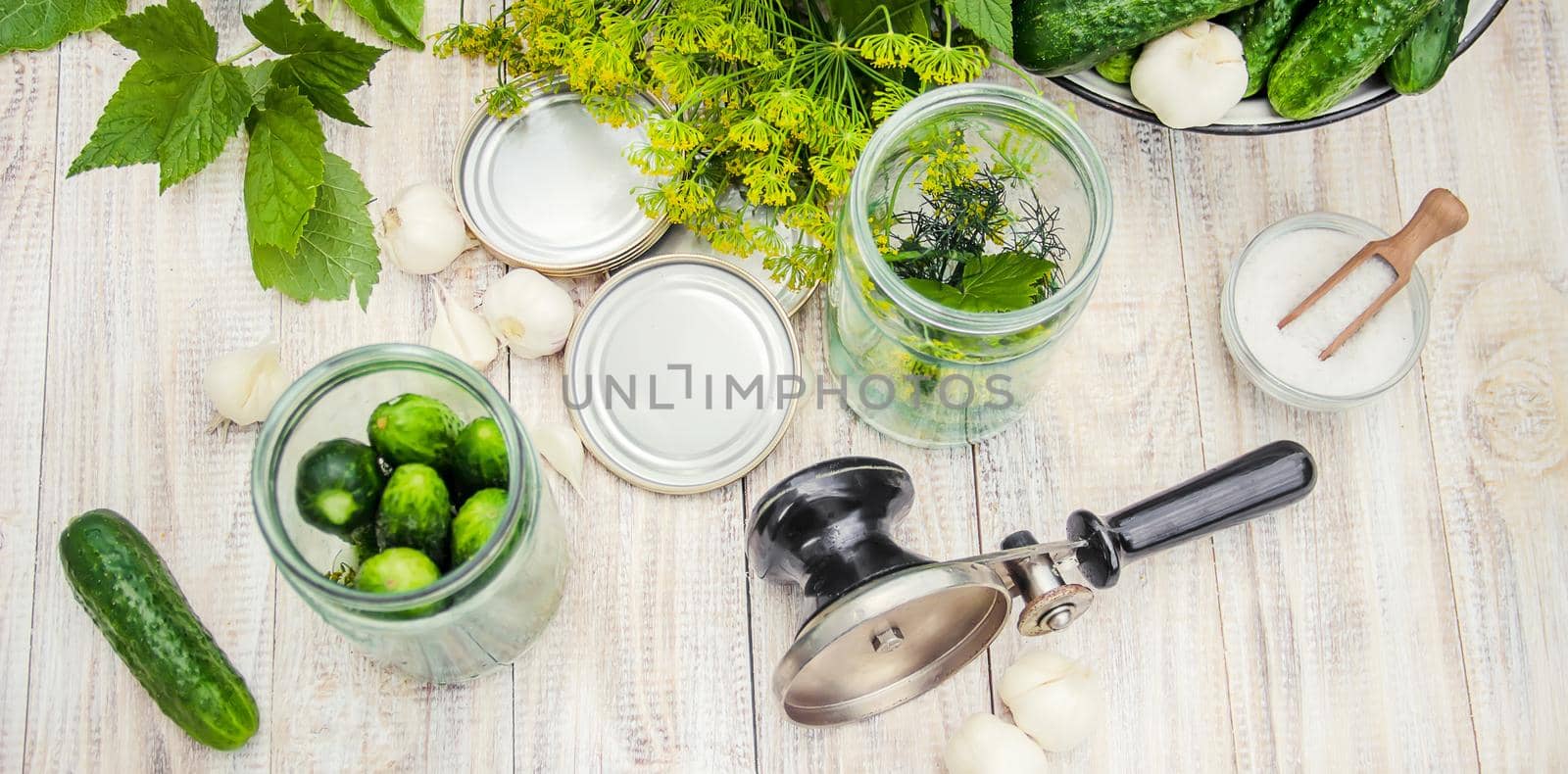 preservation of fresh house cucumbers. Selective focus. nature