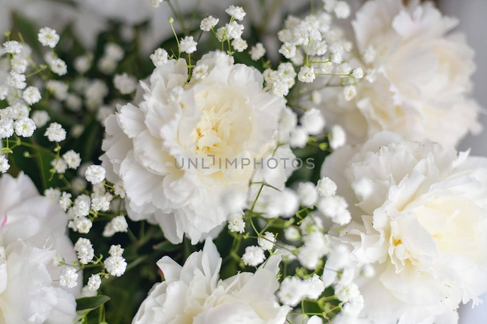 White peonies flowers in a vase on white background