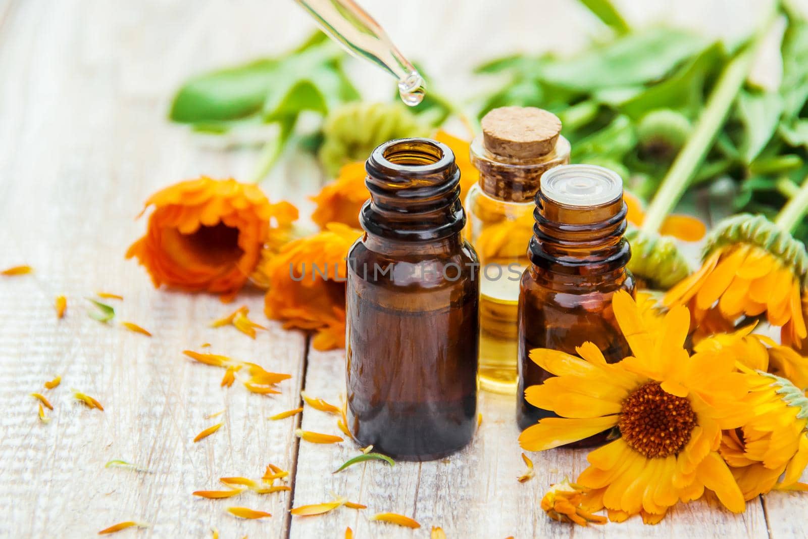 The calendula extract. Medicinal plants. Selective focus.