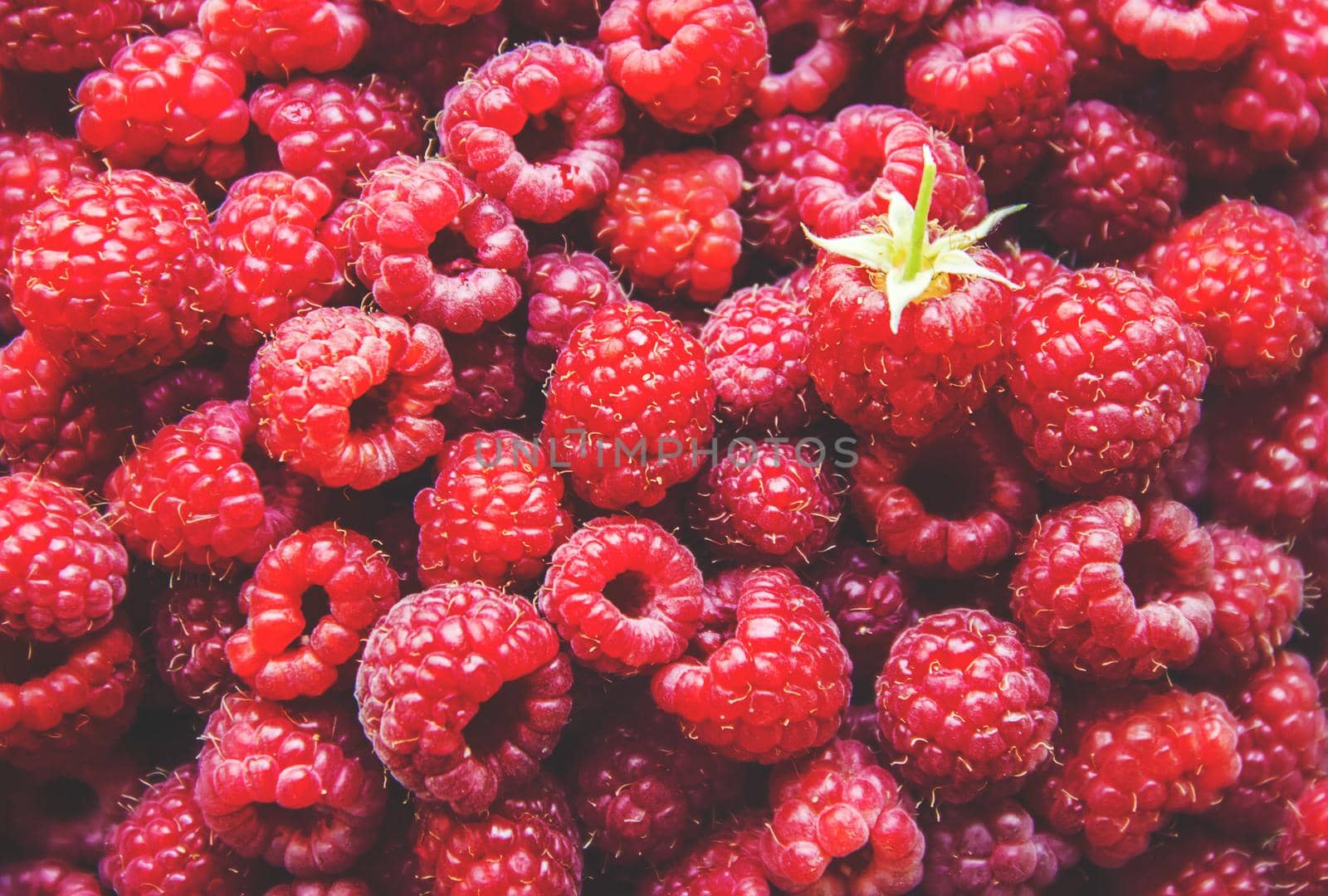 Raspberries are in the hands of a child in the form of a heart.