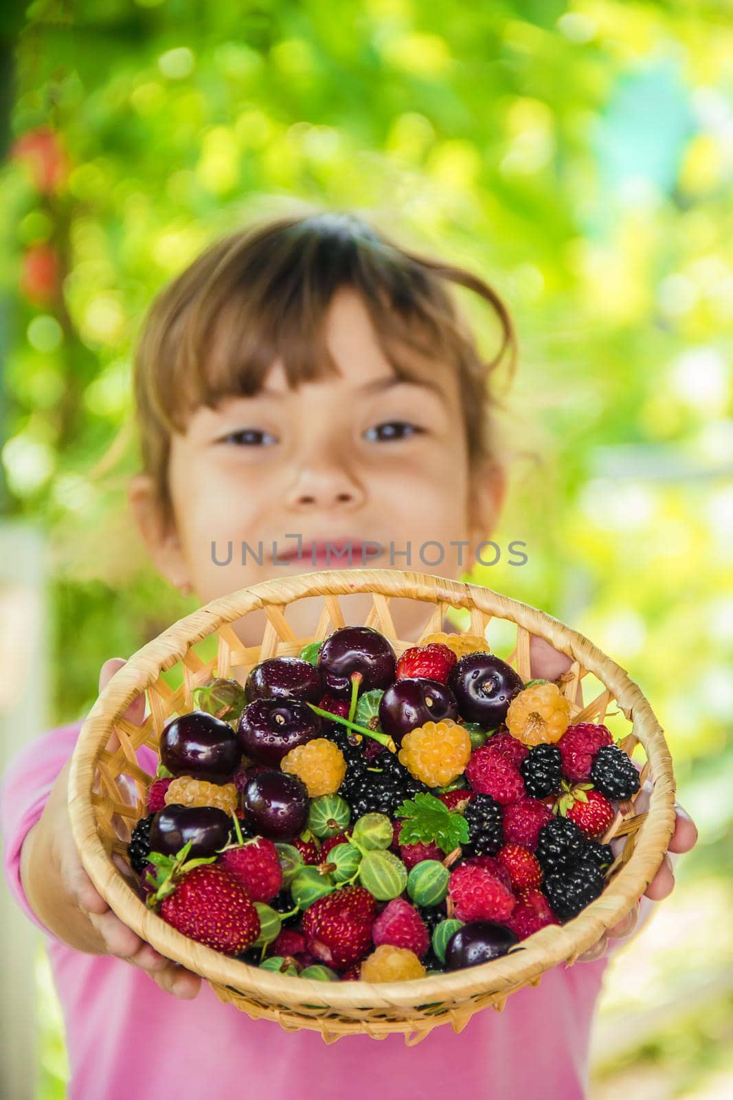The child is picking cherries in the garden. Selective focus. by yanadjana