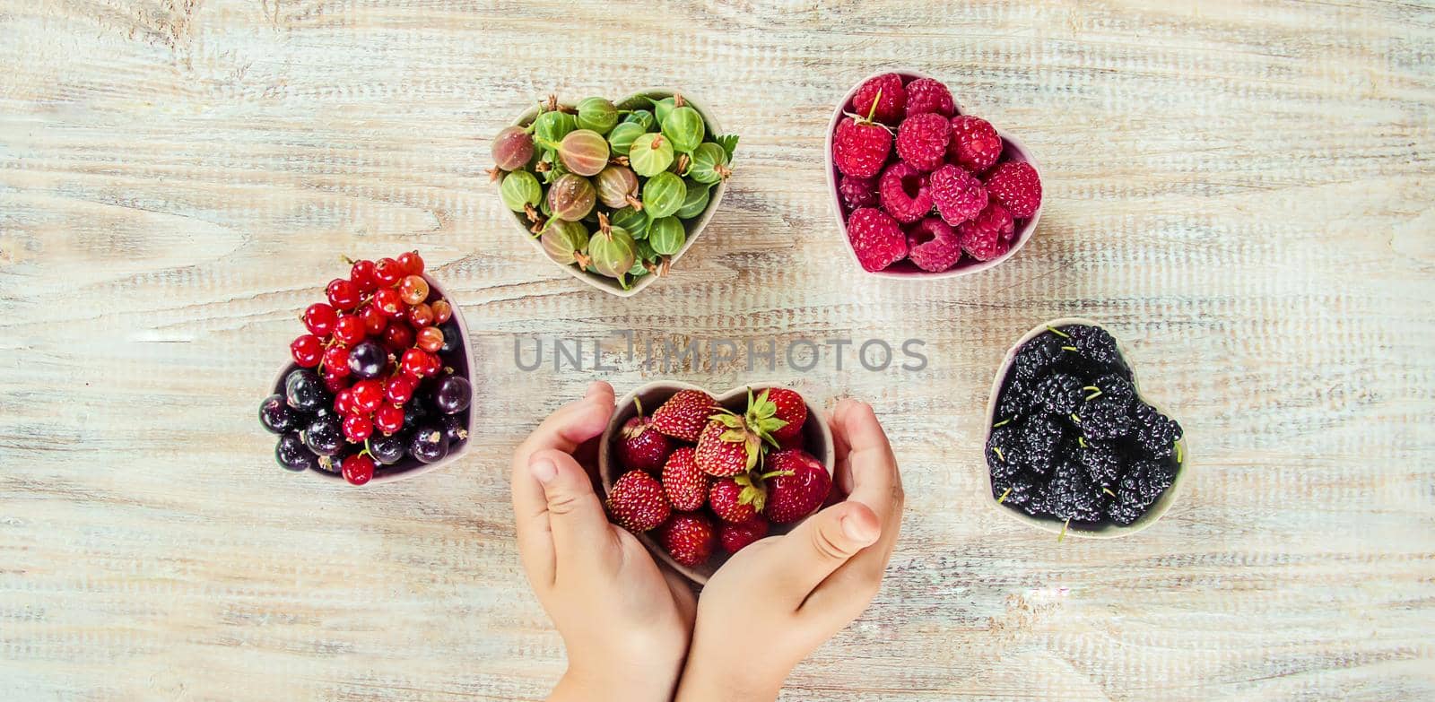 The child is picking cherries in the garden. Selective focus. by yanadjana