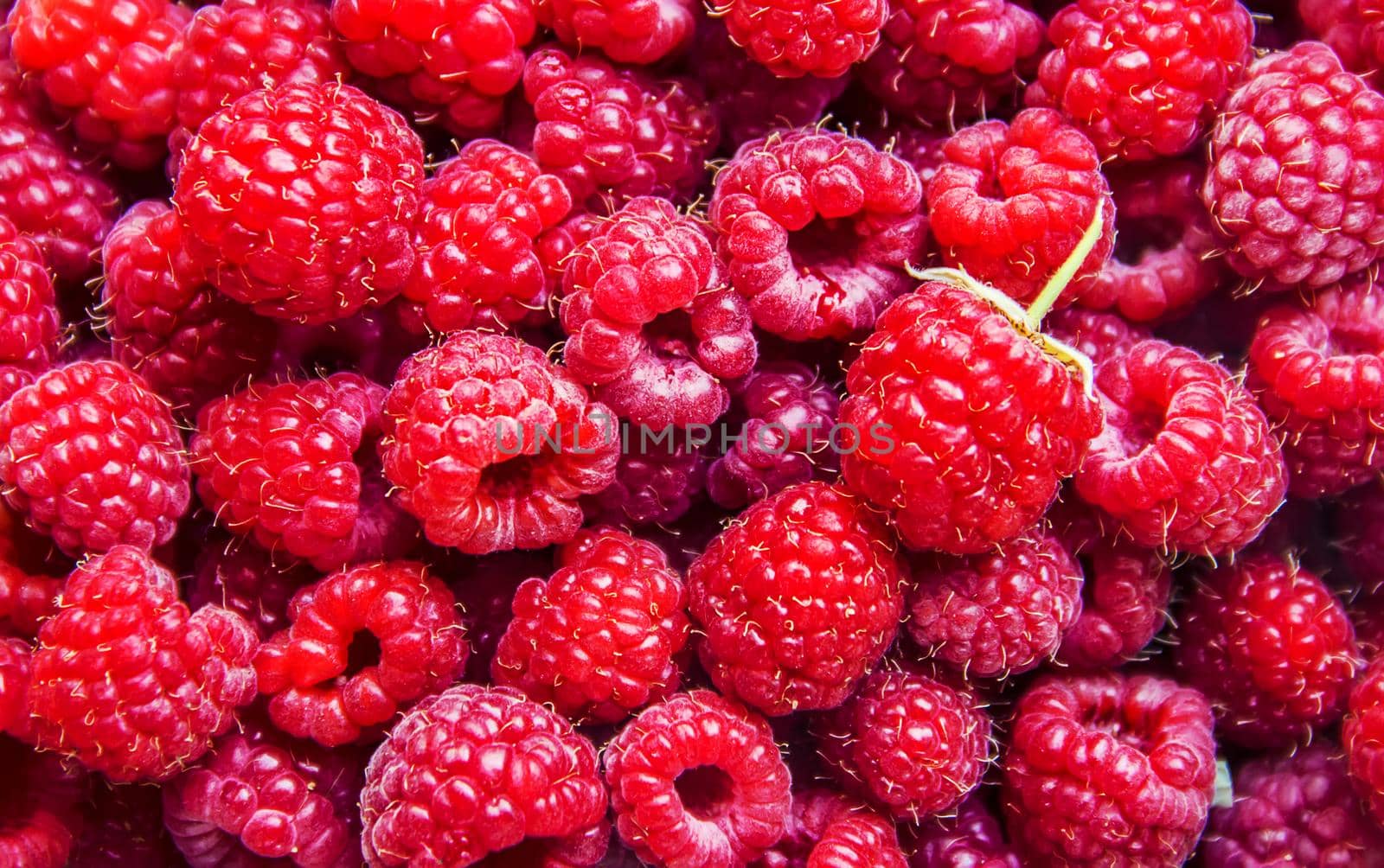 Raspberries are in the hands of a child in the form of a heart.