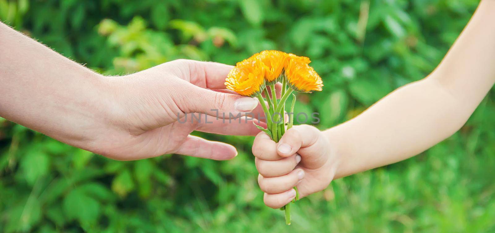 The child gives the flower to his mother. Selective focus.
