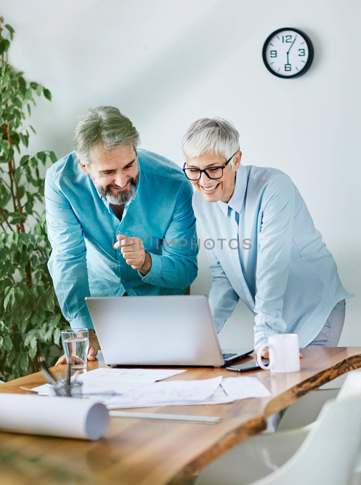 portrait of two senior businesspeople discussing over a laptop in the office