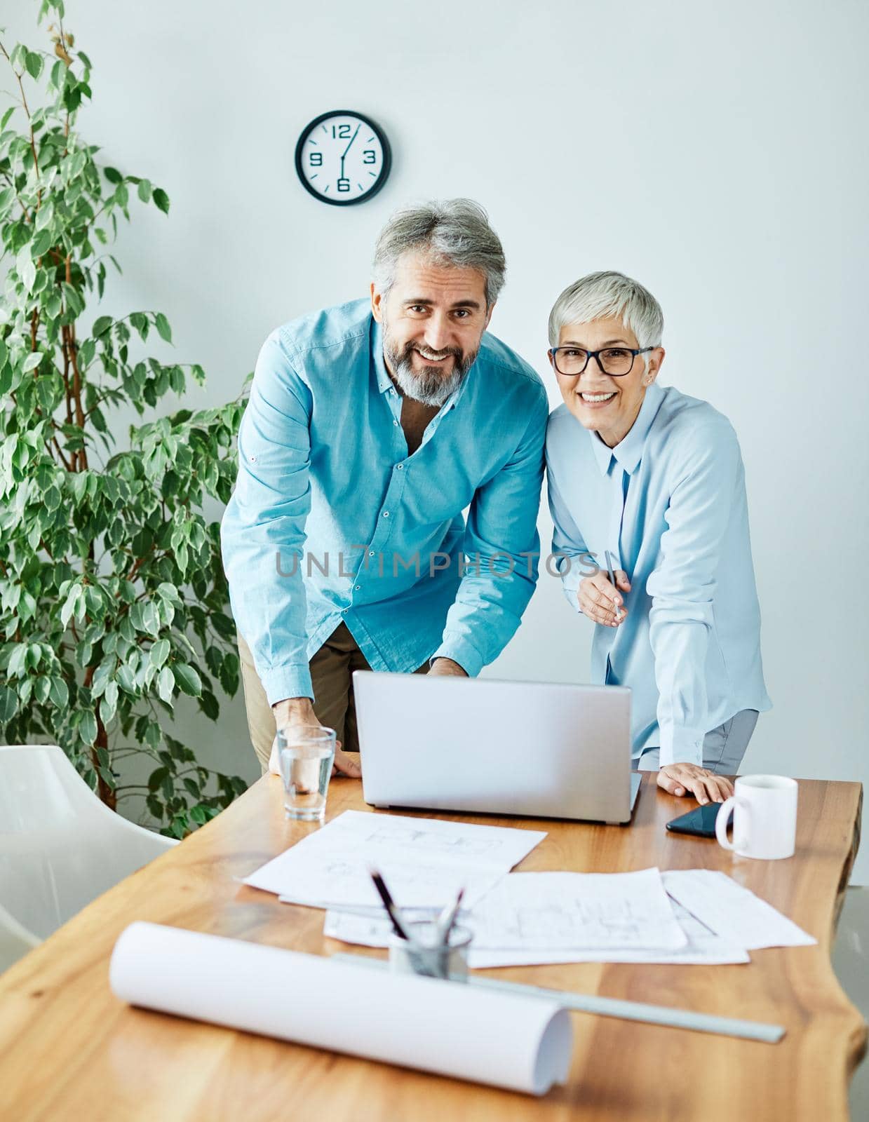 portrait of two senior businesspeople discussing over a laptop in the office