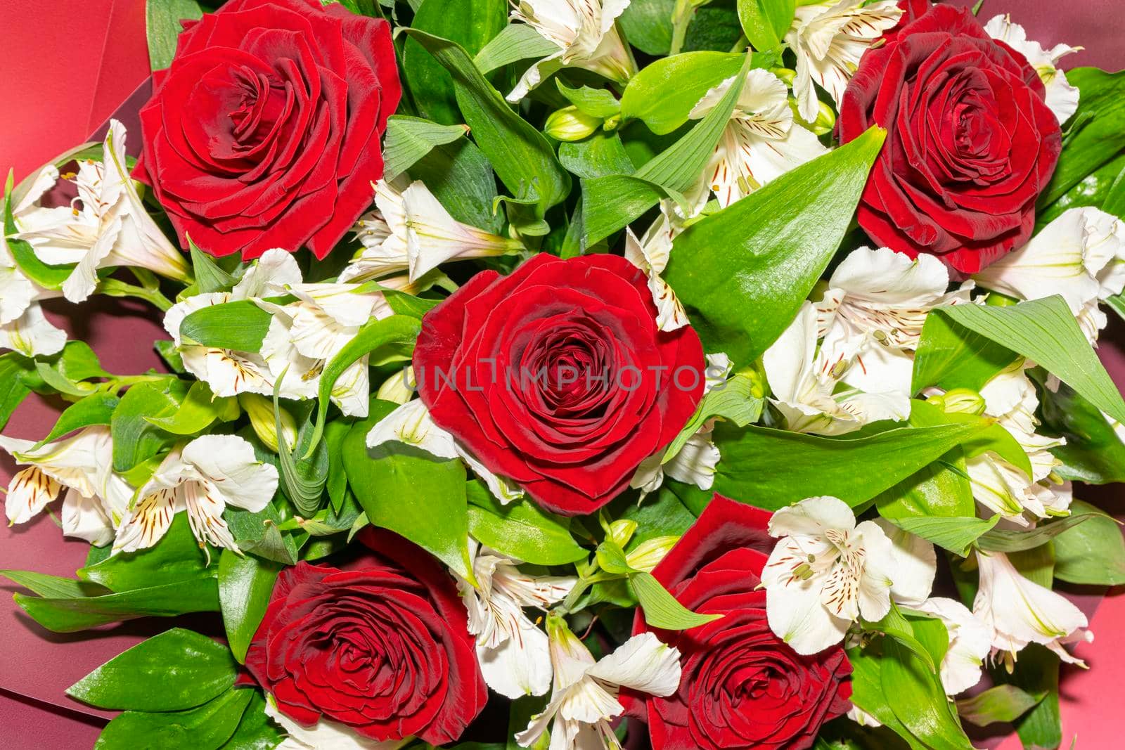 bouquet of red roses and white alstroemeria flowers close up by roman112007