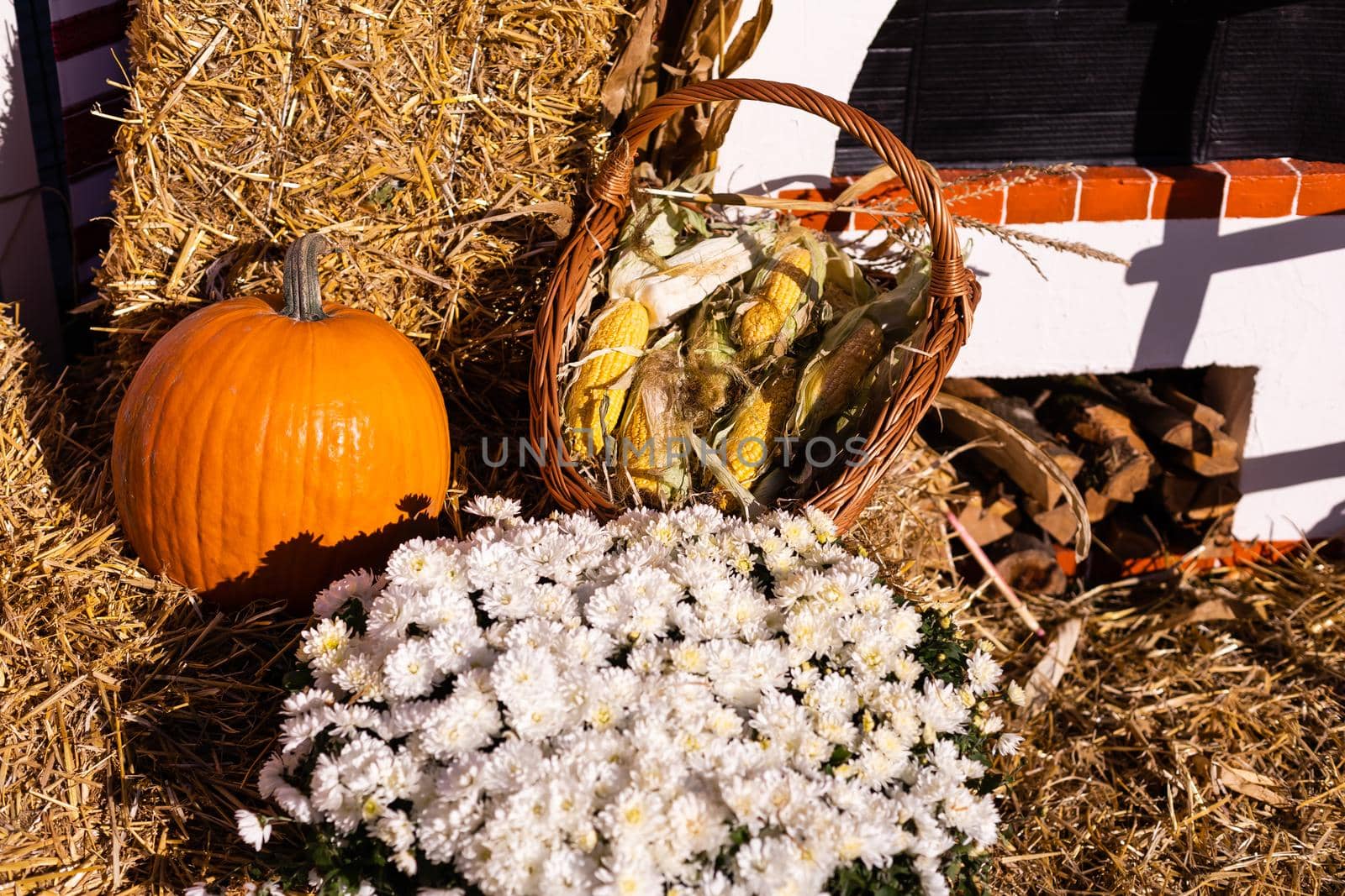 Yellow and orange pumpkins at the fair. Pumpkins in baskets and boxes. Many different pumpkins for sale. Concept of autumn, harvest and celebration by Andelov13