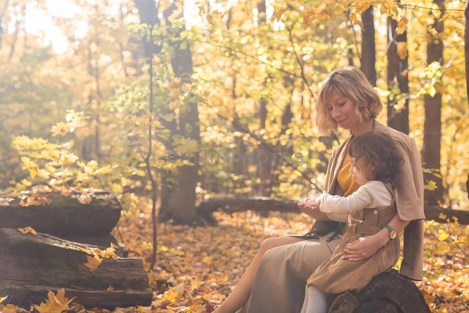 Beautiful lifestyle autumn photo mother and child walks evening in the park, warm sunlight