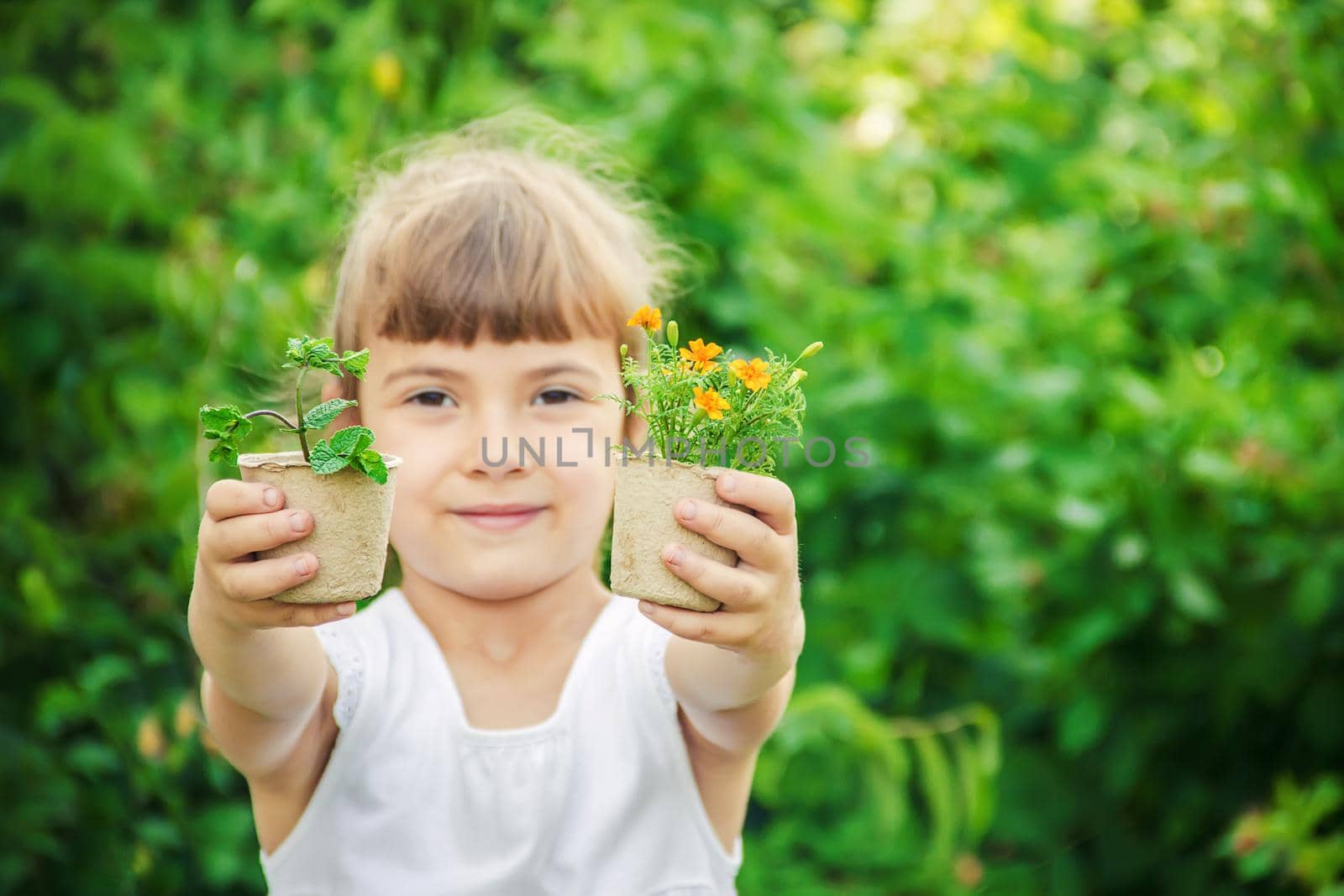 A little girl is planting flowers. The young gardener. Selective focus.